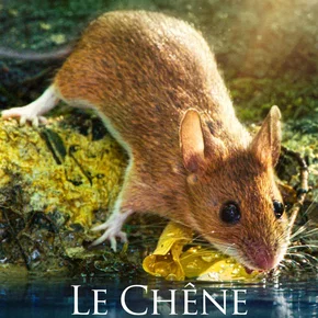 Photo du film : Le chêne