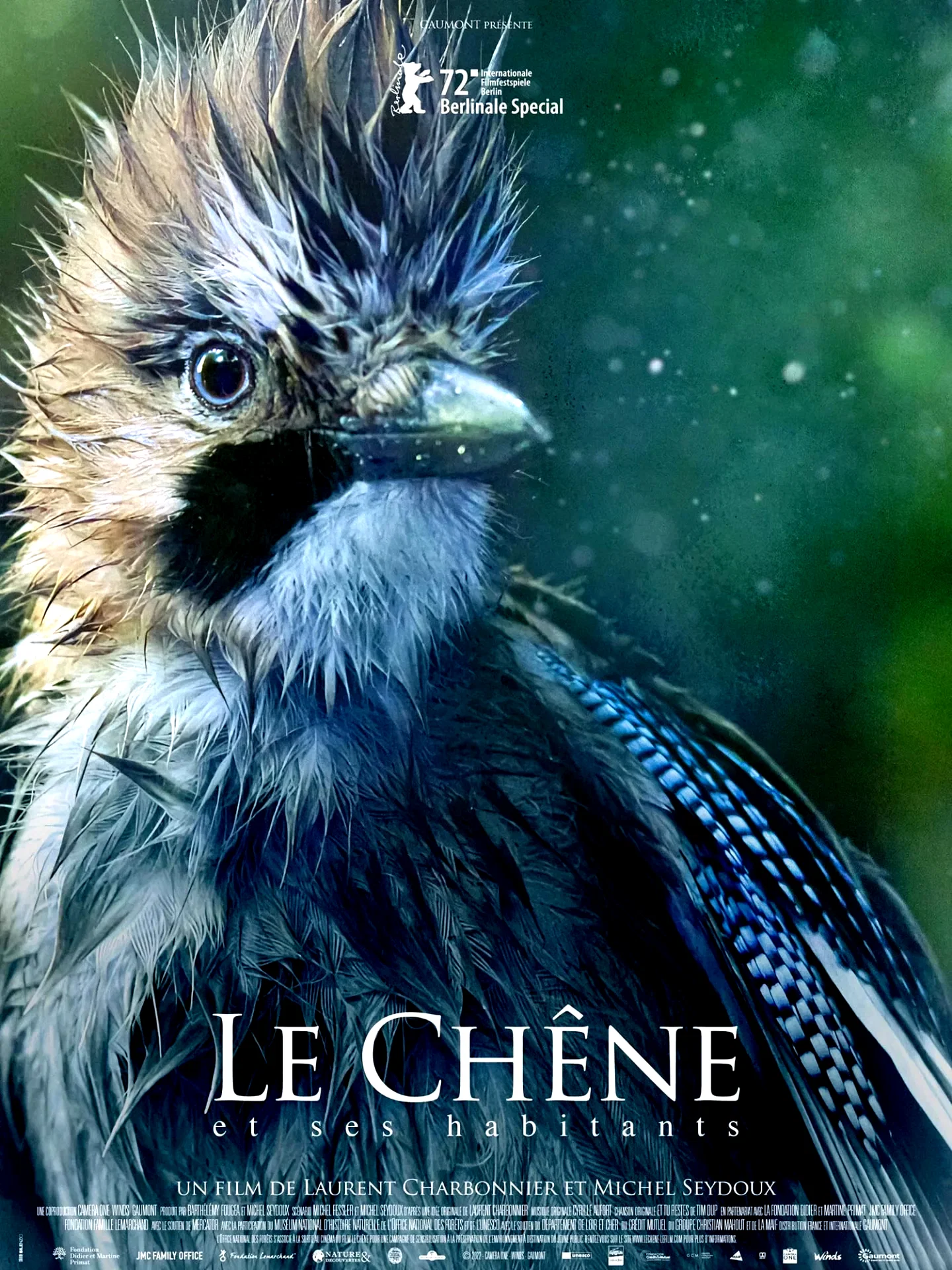 Photo 3 du film : Le chêne