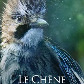 Photo du film : Le chêne