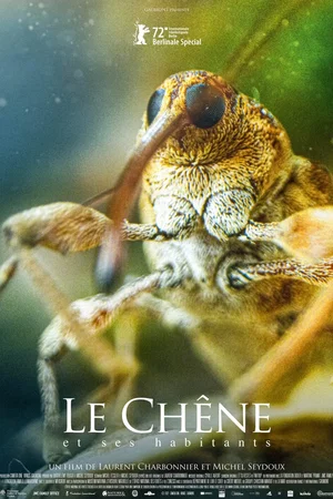 Photo du film : Le chêne