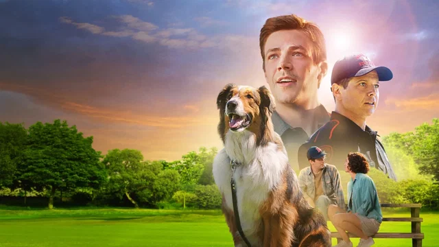 Affiche du film : Une amie au poil