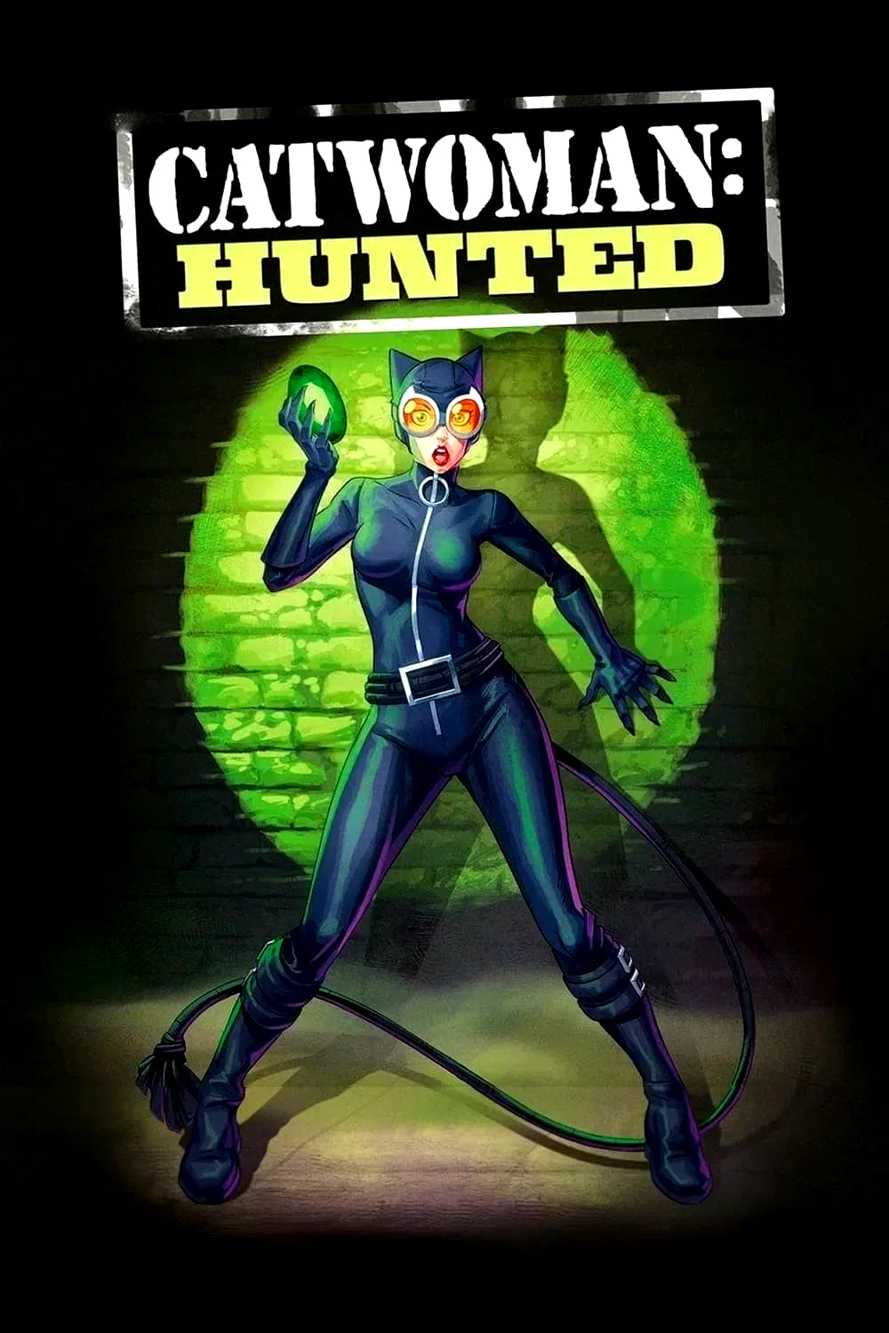 Affiche du film : Catwoman: Hunted