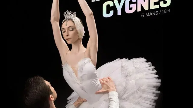 Affiche du film : Le Lac des cygnes (Ballet du Bolchoï)