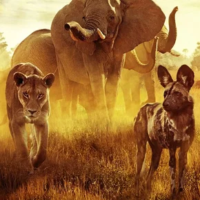 Photo du film : Survivre au paradis : Une histoire de famille