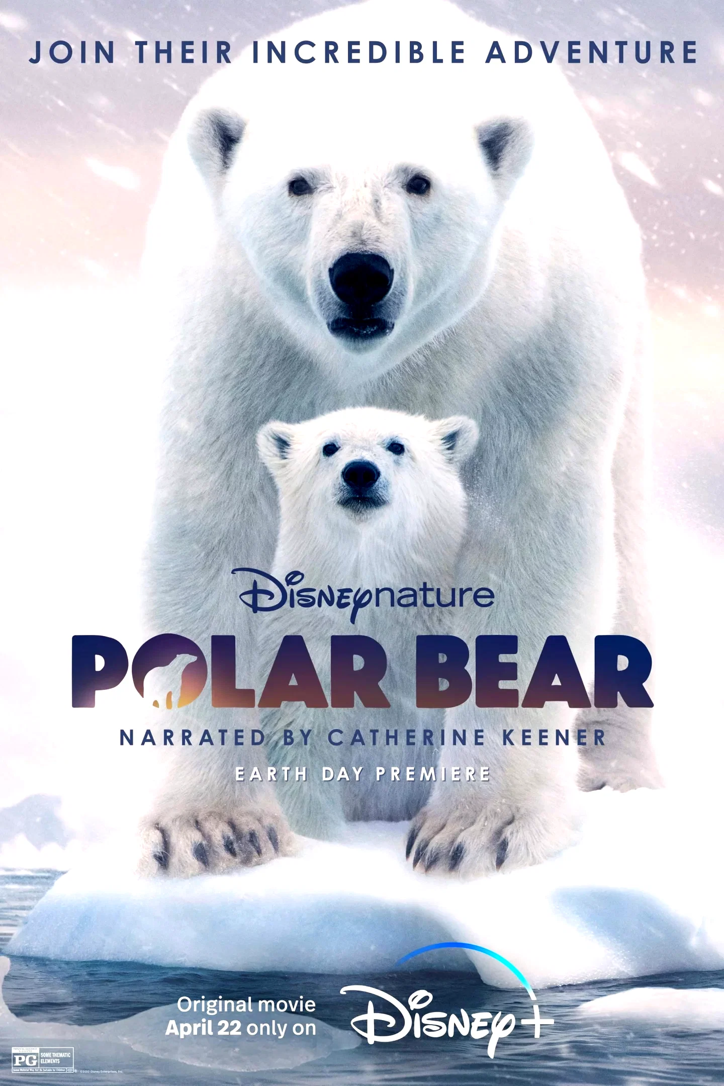 Affiche du film : Ours Polaire