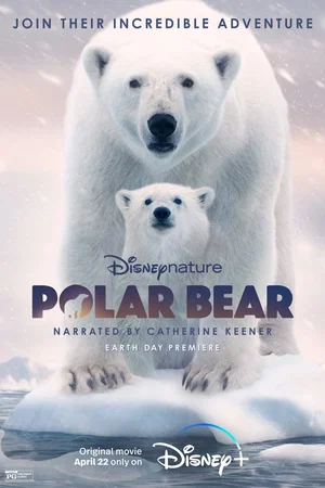 Photo du film : Ours Polaire