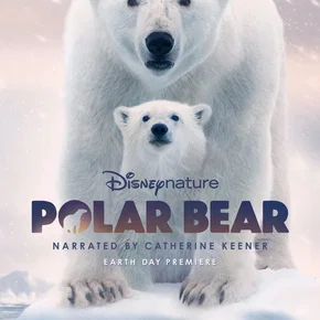 Photo du film : Ours Polaire