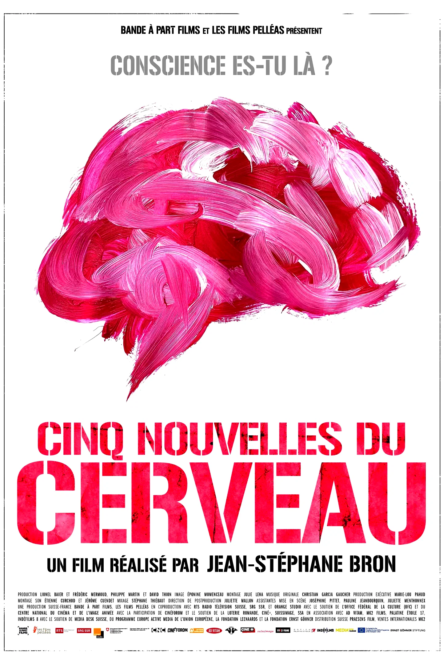 Affiche du film : Cinq nouvelles du cerveau