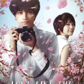 Photo du film : Love Like the Falling Petals