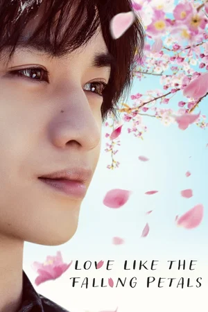 Photo 2 du film : Love Like the Falling Petals