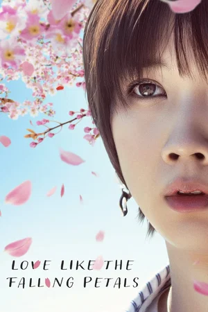 Photo 3 du film : Love Like the Falling Petals