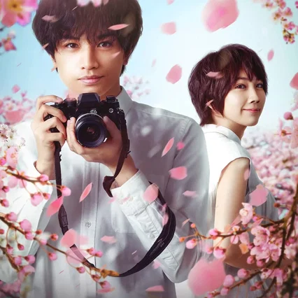 Miniature photo du film : Love Like the Falling Petals