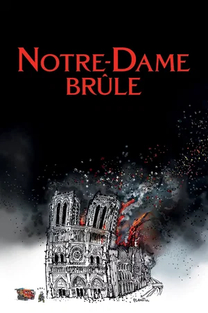 Photo du film : Notre-Dame brûle