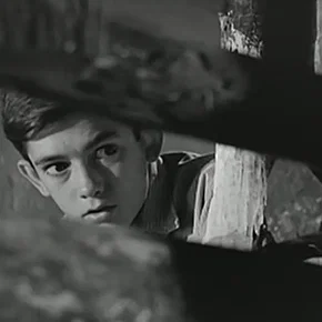 Photo du film : Le chemin
