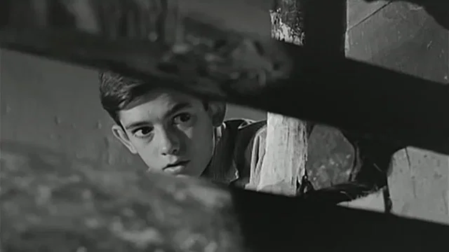 Photo 2 du film : Le chemin