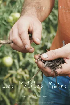 Affiche du film Les petites mains