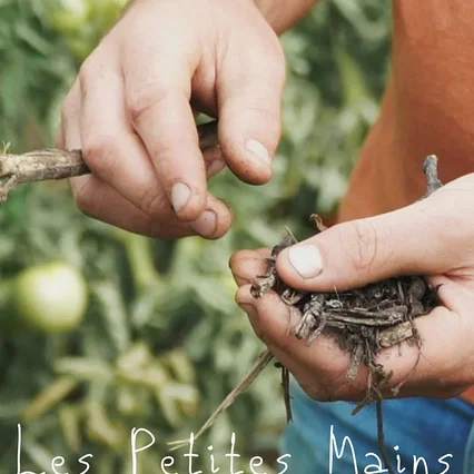 Miniature photo du film : Les petites mains