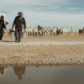 Photo du film : Utama : La Terre Oubliée