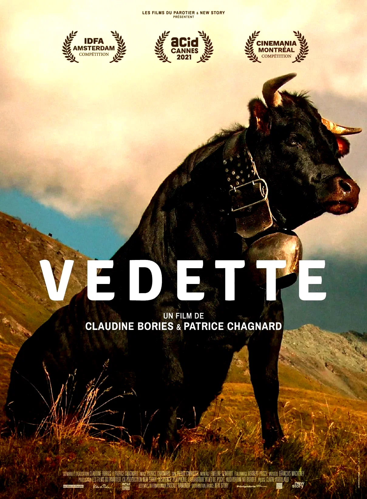 Affiche du film : Vedette
