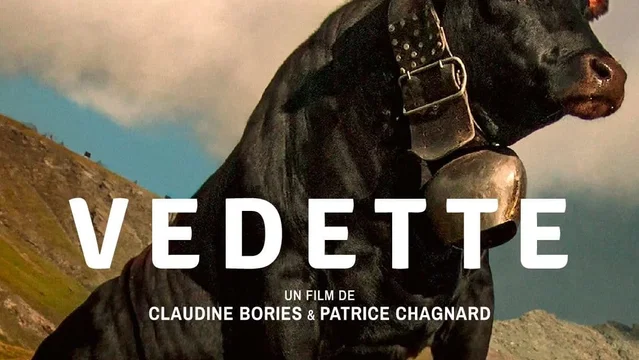 Affiche du film : Vedette