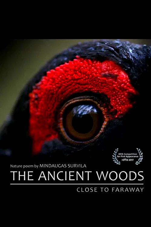 Affiche du film : Dans les bois