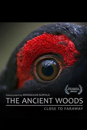 Affiche du film : Dans les bois
