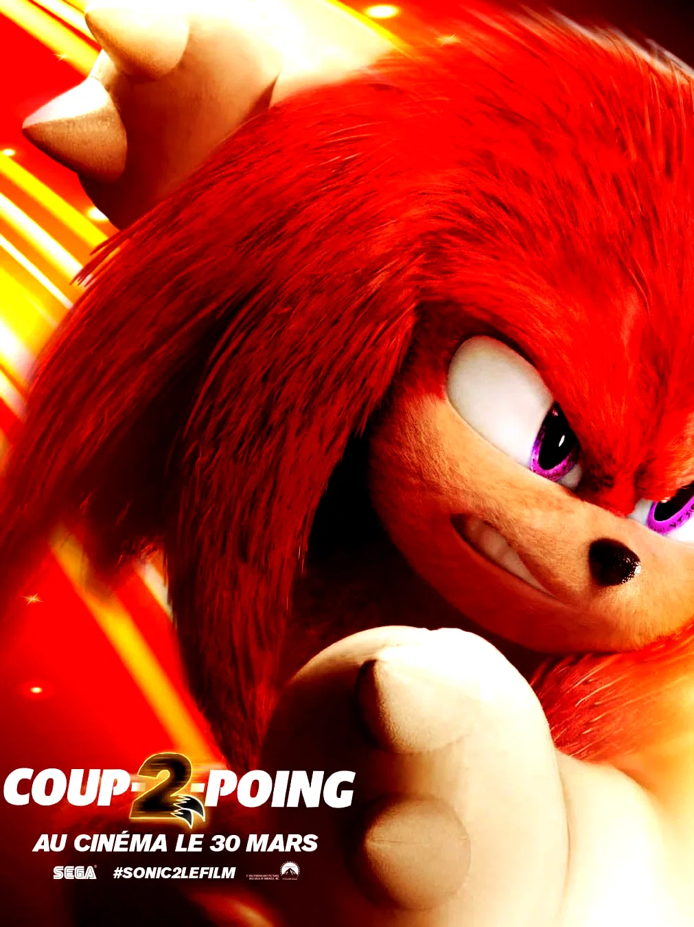 Photo 3 du film : Sonic 2 le film