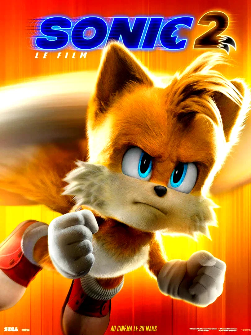 Photo 7 du film : Sonic 2 le film