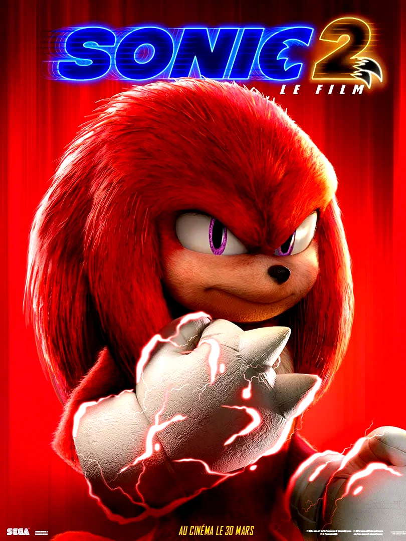 Photo 10 du film : Sonic 2 le film