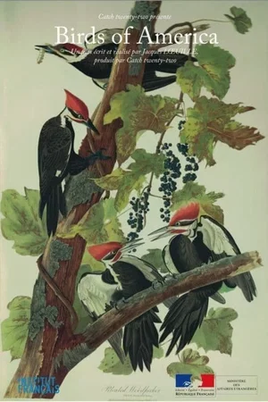 Photo 3 du film : Birds of America