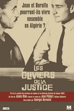 Photo 3 du film : Les oliviers de la justice