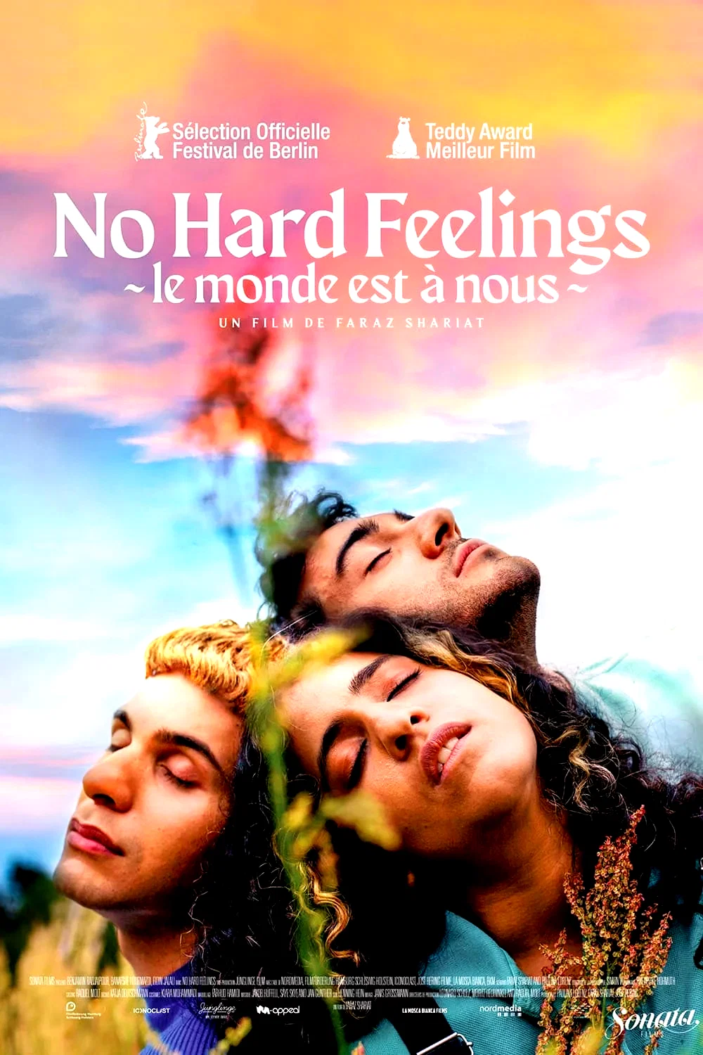 Affiche du film : No hard feelings - Le Monde est à nous