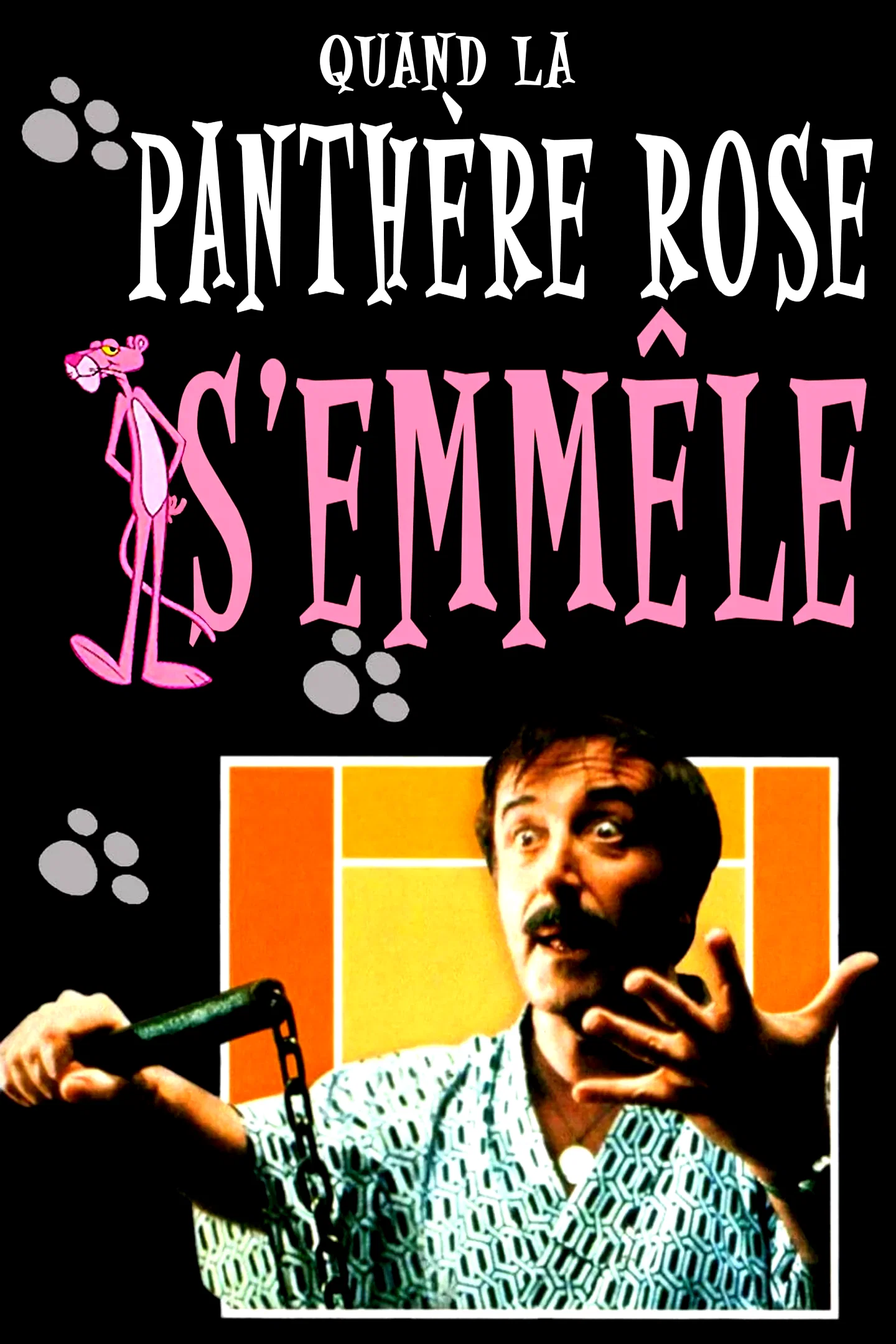 Affiche du film : Quand la Panthère Rose s'emmêle