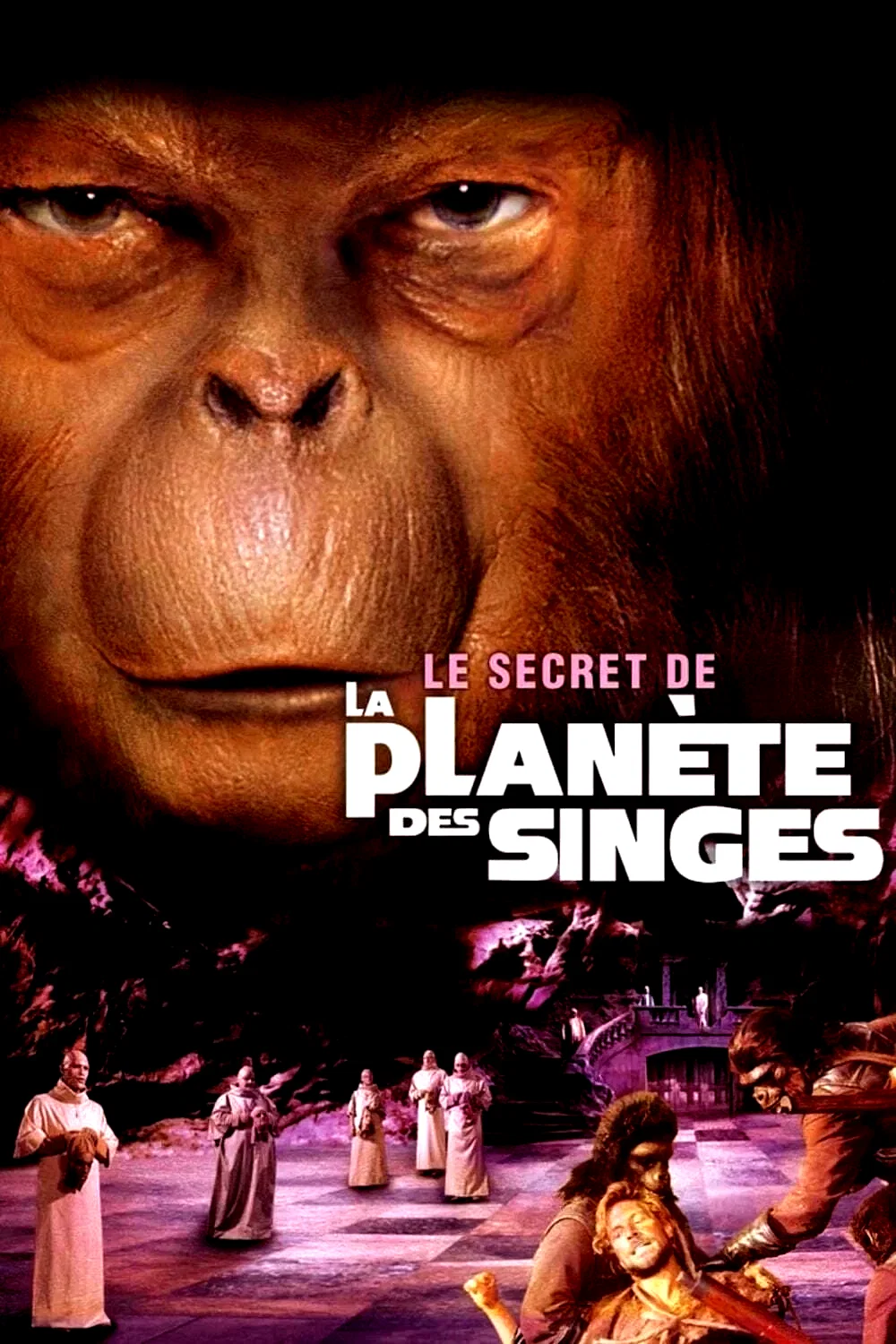 Photo 2 du film : Le Secret de la planète des singes