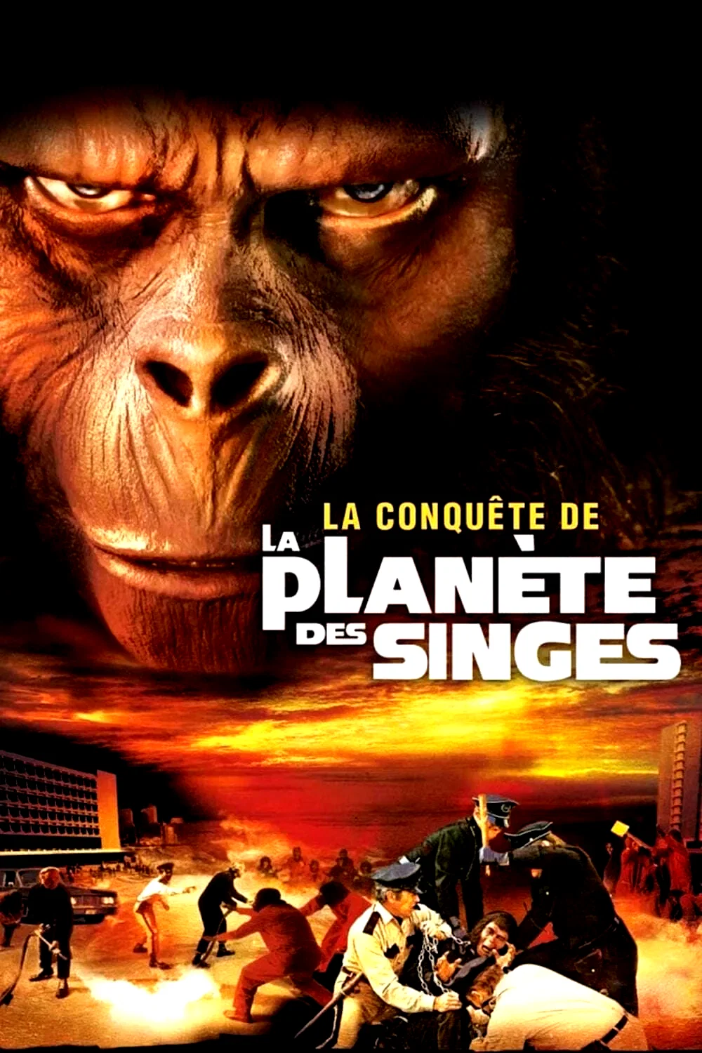 Photo du film : La Conquête de la planète des singes