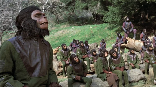 Photo 6 du film : La Bataille de la Planète des Singes