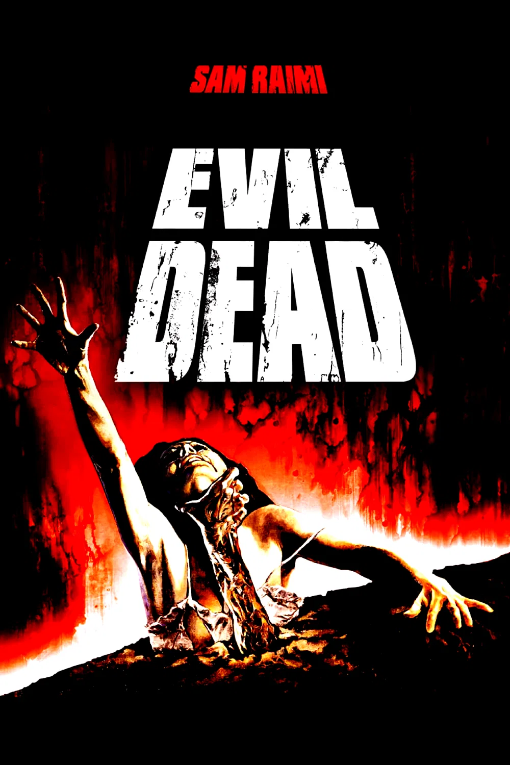 Photo 6 du film : Evil Dead