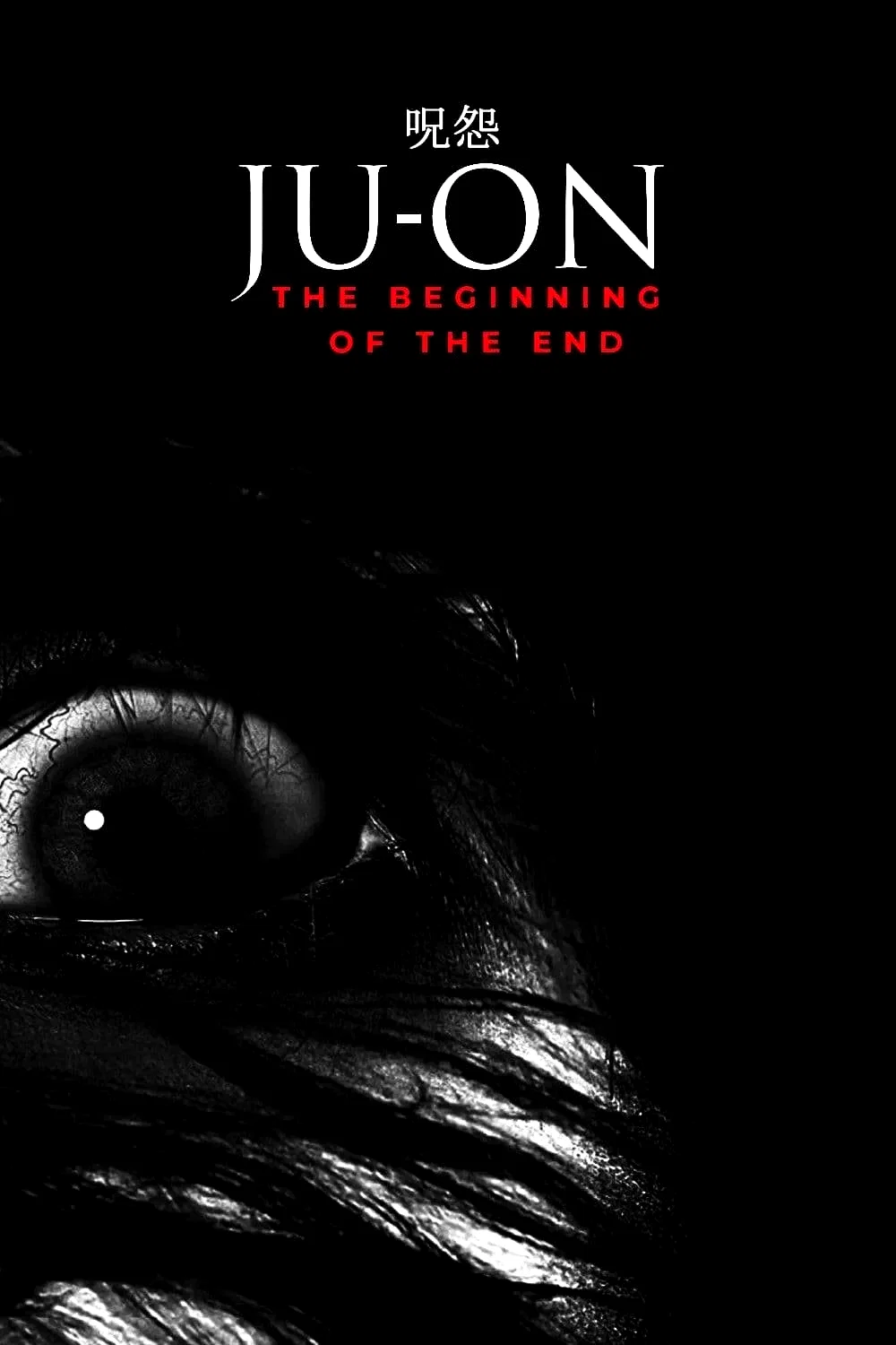 Affiche du film : Ju-on: The Beginning of the End