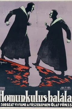 Affiche du film Das Ende des Homunculus