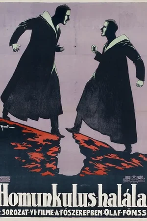 Affiche du film : Das Ende des Homunculus