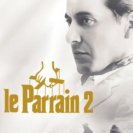 Miniature photo du film : Le Parrain, 2e partie