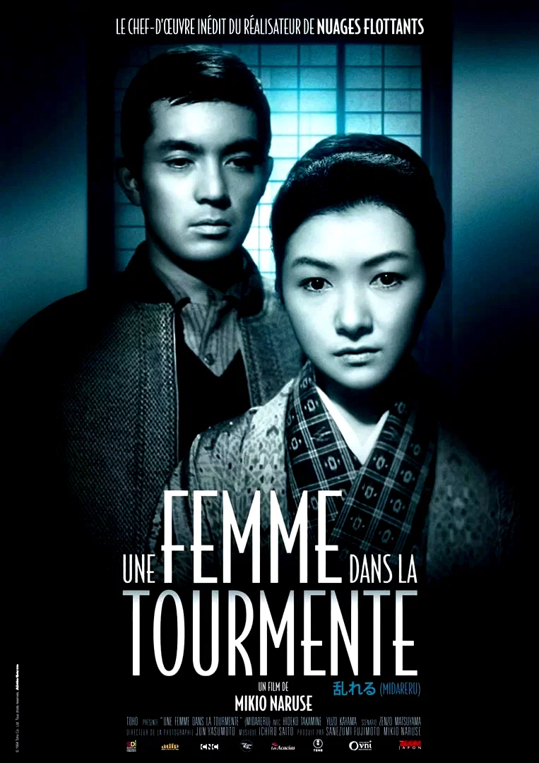 Affiche du film : Une femme dans la tourmente