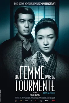 Affiche du film Une femme dans la tourmente