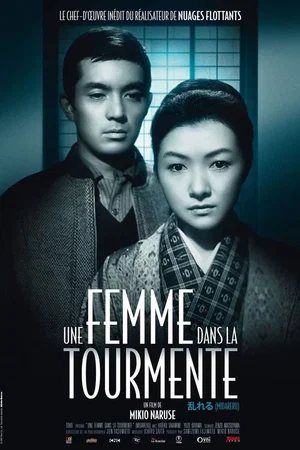 Affiche du film : Une femme dans la tourmente