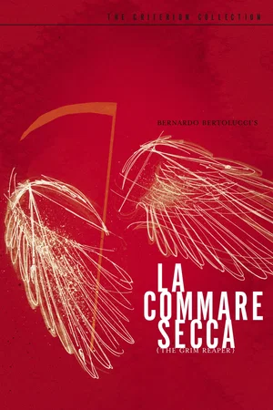 Photo 2 du film : Les Recrues