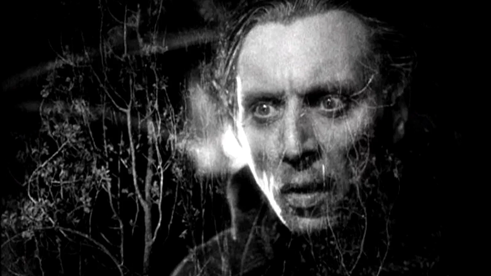 Photo 4 du film : La charrette fantome