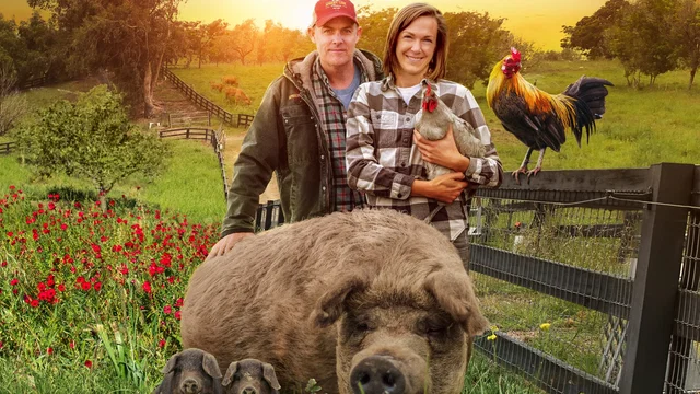 Photo 4 du film : The Biggest Little Farm: The Return