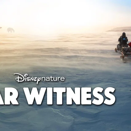 Miniature photo du film : Bear Witness