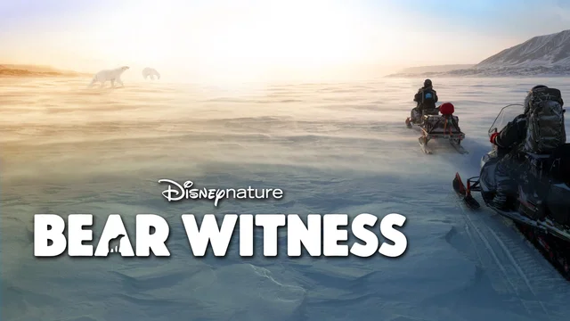 Photo du film : Bear Witness
