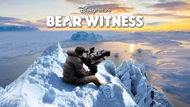 Photo du film : Bear Witness